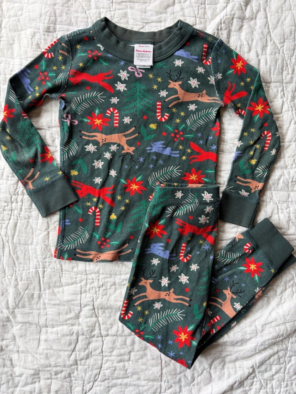 Hanna Andersson Holiday Reindeer Pajama Set